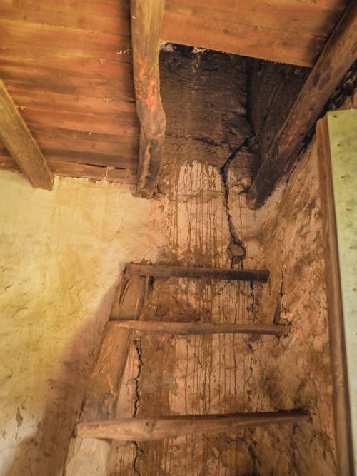 imagen 16 de Finca Dehesa