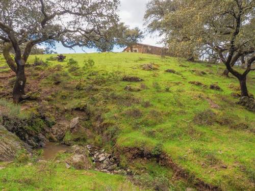 imagen 20 de Finca Dehesa