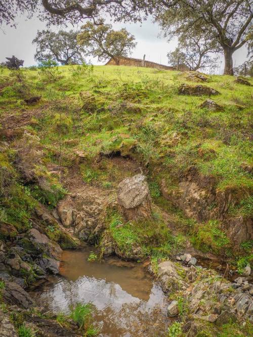 imagen 21 de Finca Dehesa