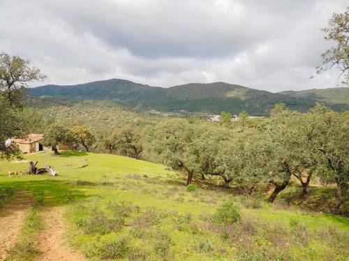 imagen 23 de Finca Dehesa