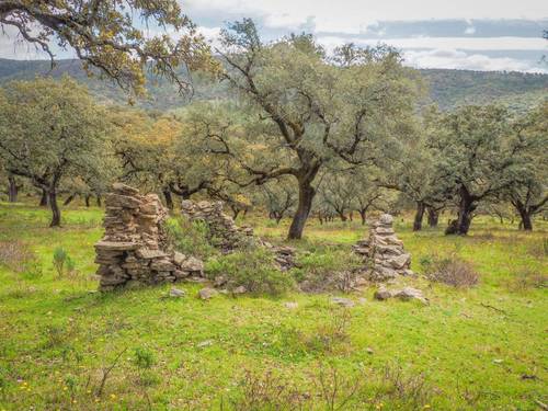 imagen 24 de Finca Dehesa