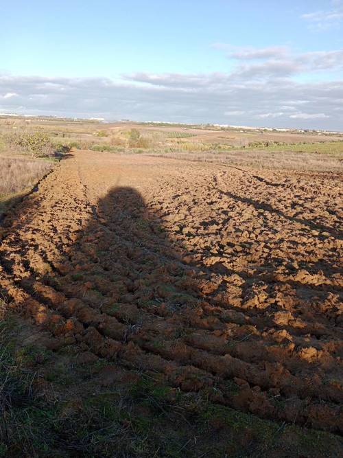 imagen 2 de Terreno rústico con escritura pública y pozo.