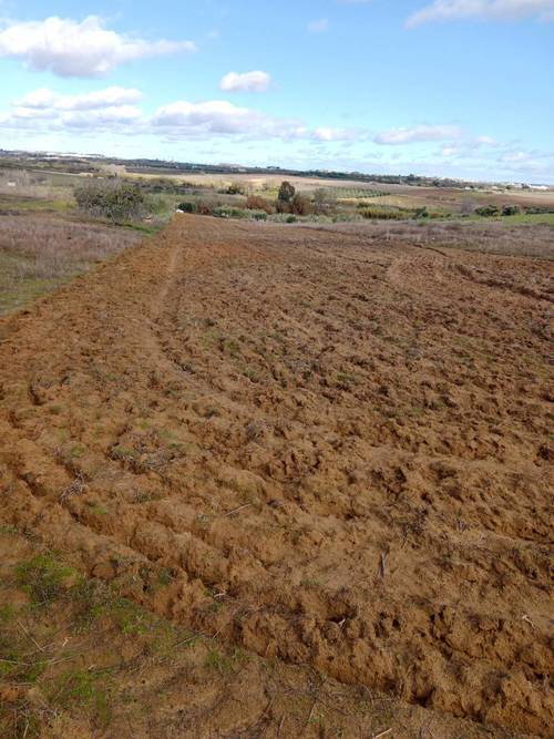 imagen 4 de Terreno rústico con escritura pública y pozo.