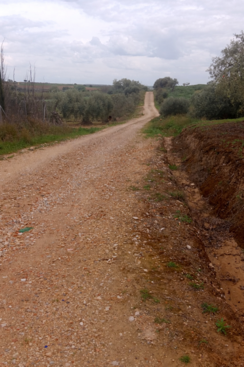 imagen 1 de Terreno rústico con escritura pública y pozo.