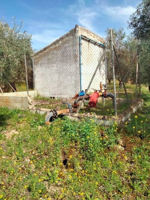 imagen 10 de Venta Finca Olivar "Casería Espejo"