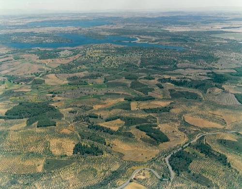 imagen 1 de Dehesa en la provincia de Cáceres de 150 hectáreas