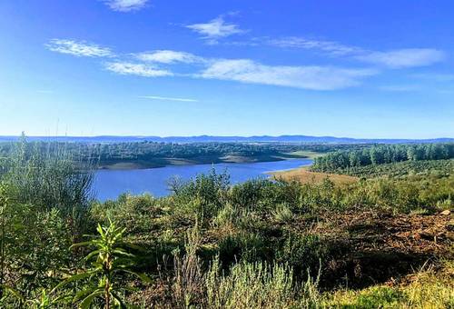 imagen 2 de Dehesa en la provincia de Cáceres de 150 hectáreas