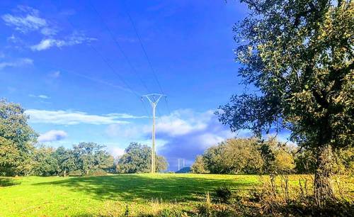 imagen 4 de Dehesa en la provincia de Cáceres de 150 hectáreas