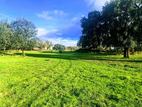 imagen 5 de Dehesa en la provincia de Cáceres de 150 hectáreas