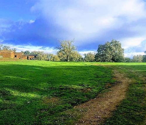 imagen 6 de Dehesa en la provincia de Cáceres de 150 hectáreas