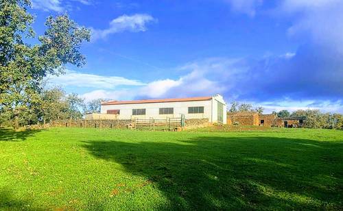 imagen 8 de Dehesa en la provincia de Cáceres de 150 hectáreas