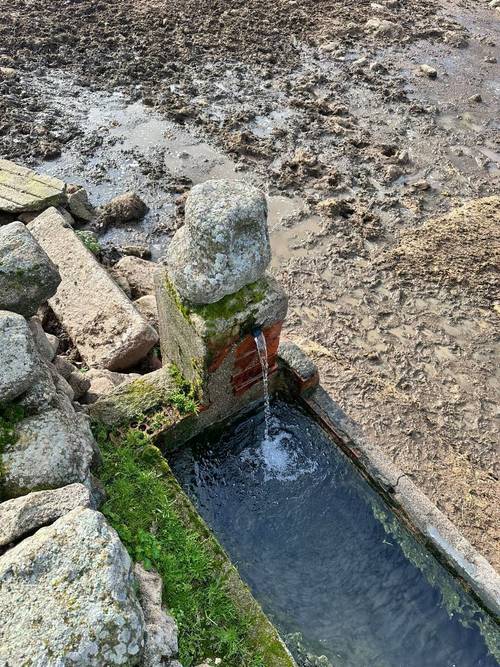 imagen 1 de Finca ganadera en el norte de Cáceres