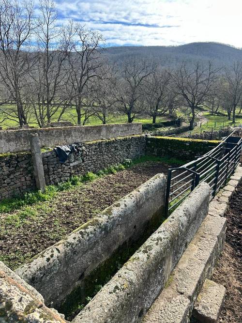 imagen 2 de Finca ganadera en el norte de Cáceres