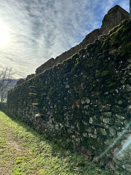 imagen 6 de Finca ganadera en el norte de Cáceres