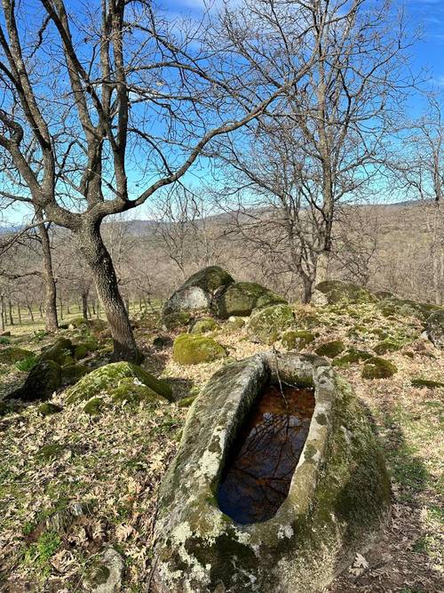imagen 5 de Finca ganadera en el norte de Cáceres