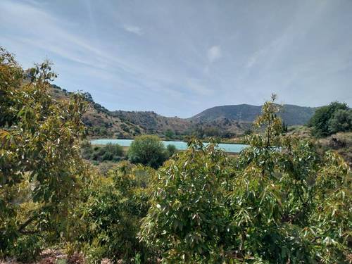 imagen 1 de Finca de aguacates