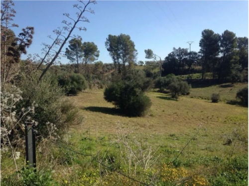 imagen 5 de Terreno en venta en Carretera Coín-Cártama