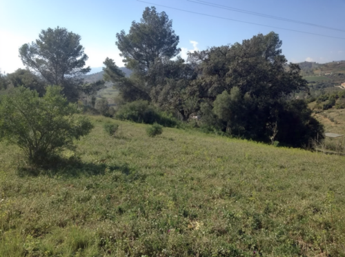 imagen 3 de Terreno en venta en Carretera Coín-Cártama