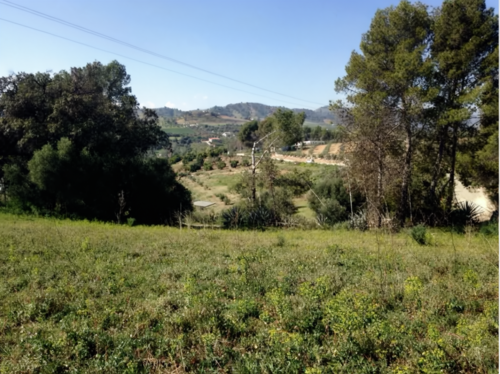 imagen 2 de Terreno en venta en Carretera Coín-Cártama