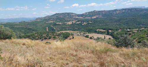 imagen 4 de FINCA DE 100 HECT EN VENTA CON CASA Y EDIFICIOS AGRICOLAS