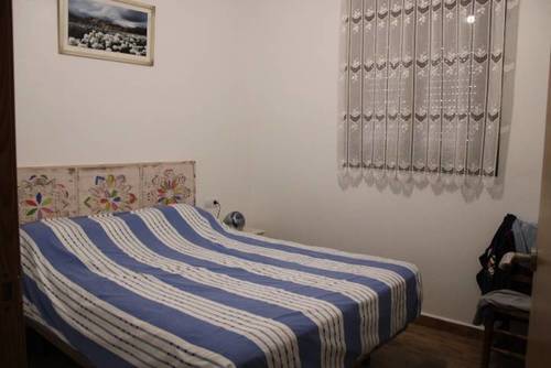 imagen 10 de FINCA DE CASTAÑOS