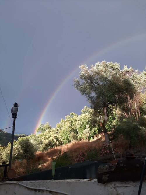 imagen 2 de FINCA DE CASTAÑOS