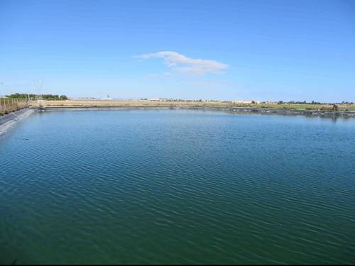 imagen 5 de Vendo finca estupenda en Los Alcázares
