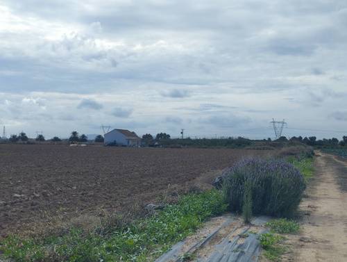 imagen 6 de Vendo finca estupenda en Los Alcázares