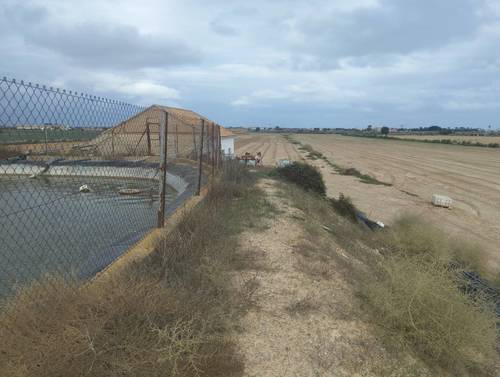 imagen 1 de Vendo finca estupenda en Los Alcázares
