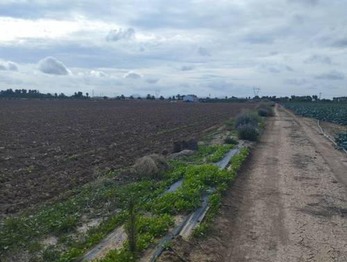 imagen 2 de Vendo finca estupenda en Los Alcázares