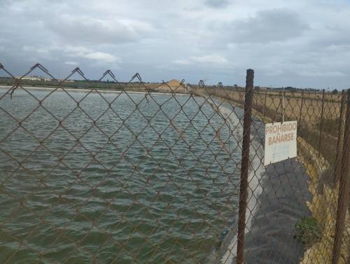 imagen 4 de Vendo finca estupenda en Los Alcázares