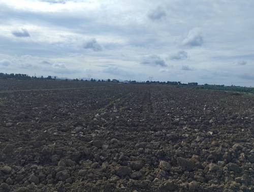 imagen 8 de Vendo finca estupenda en Los Alcázares