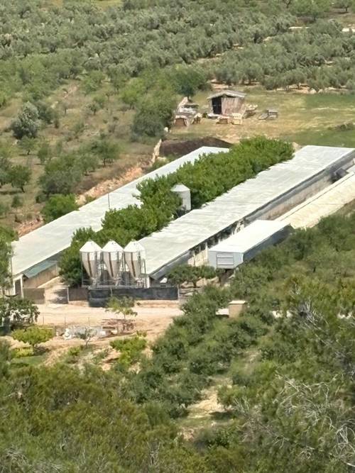 imagen 2 de Granja de conejos