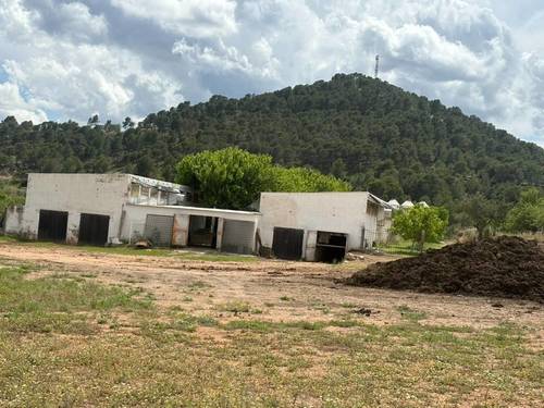 imagen 8 de Granja de conejos