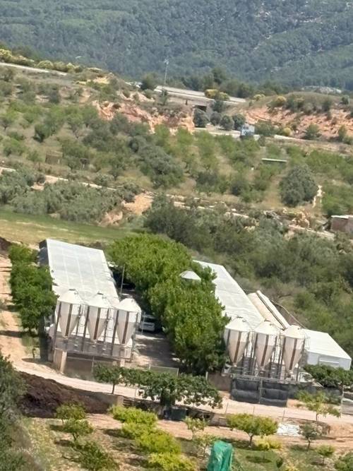 imagen 1 de Granja de conejos