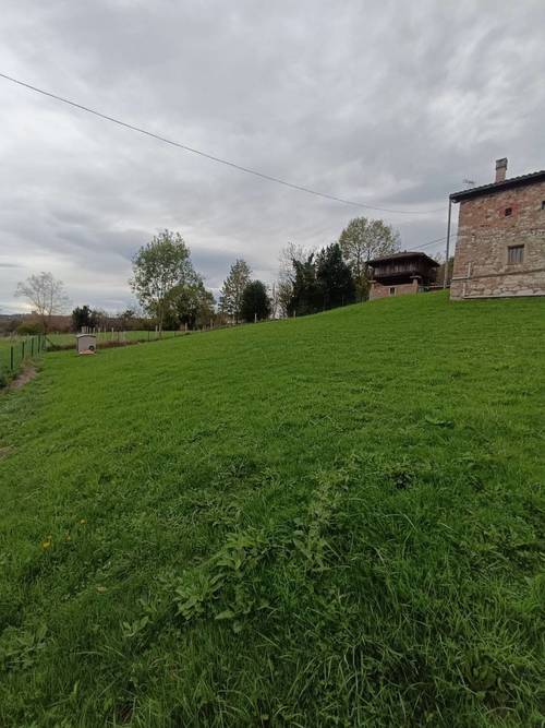 imagen 12 de Terreno edificable en Oviedo  – 2.000 m² de naturaleza, ubicación y potencial