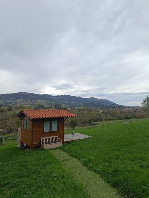 imagen 5 de Terreno edificable en Oviedo  – 2.000 m² de naturaleza, ubicación y potencial