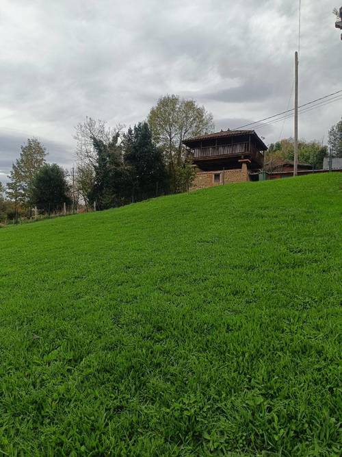 imagen 13 de Terreno edificable en Oviedo  – 2.000 m² de naturaleza, ubicación y potencial