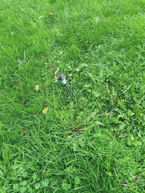 imagen 6 de Terreno edificable en Oviedo  – 2.000 m² de naturaleza, ubicación y potencial