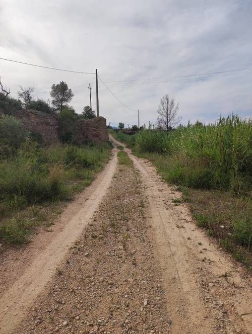 imagen 6 de Venta finca rústica