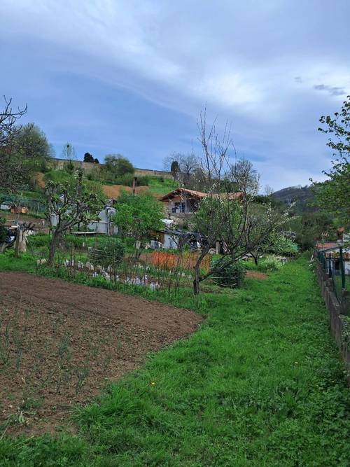 imagen 1 de Terreno en venta en Calle Canuto Hevia