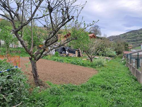 imagen 1 de Terreno en venta en Calle Canuto Hevia