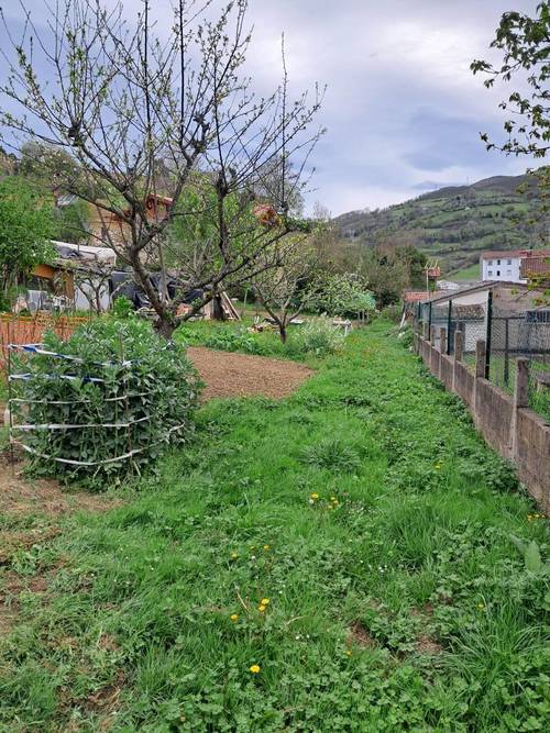 imagen 3 de Terreno en venta en Calle Canuto Hevia