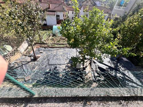 imagen 2 de Terreno en venta en Polígono 16 Parcela 46 REIGOSA. MIERES