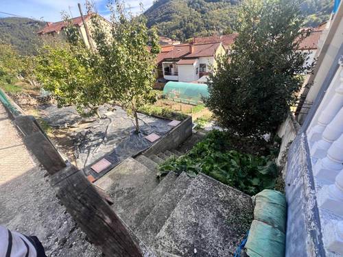 imagen 5 de Terreno en venta en Polígono 16 Parcela 46 REIGOSA. MIERES