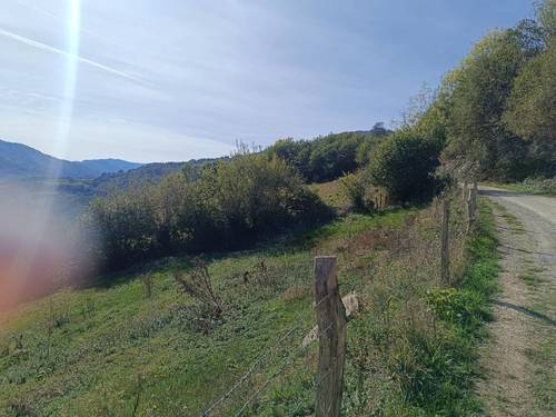 imagen 5 de Terreno en venta en POLIGONO 41 s/n, Lena