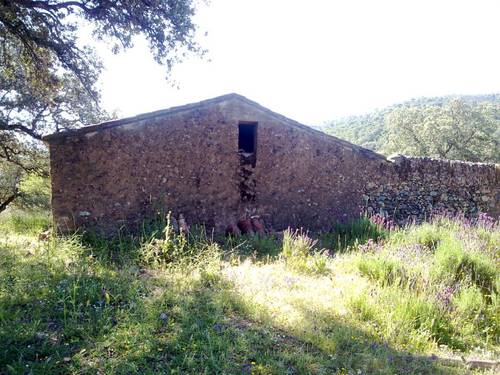 imagen 1 de FINCA EN LA SIERRA DE ARACENA Y PICOS DE AROCHE (HUELVA)