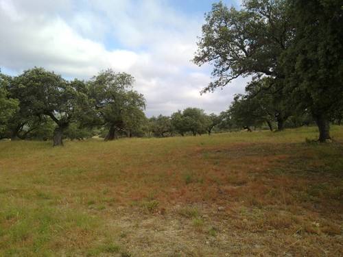 imagen 22 de FINCA EN LA SIERRA DE ARACENA Y PICOS DE AROCHE (HUELVA)