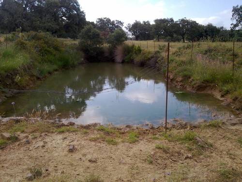 imagen 20 de FINCA EN LA SIERRA DE ARACENA Y PICOS DE AROCHE (HUELVA)