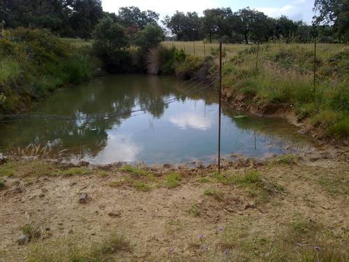 imagen 21 de FINCA EN LA SIERRA DE ARACENA Y PICOS DE AROCHE (HUELVA)
